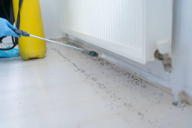 Best Pest Control for Homes  in Okauchee Lake, WI